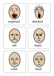 Emotion Flash Cards (Downloadable)